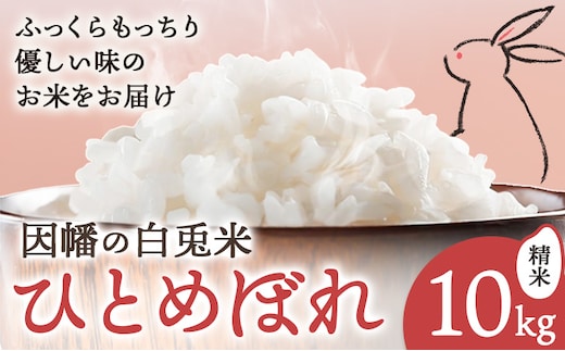 因幡の白兎米 ひとめぼれ 令和7年度産 精米済 10kg（5kg×2袋）さんチョク《30日以内に出荷予定(土日祝除く)》鳥取県 八頭町 米 お米 白米 ご飯---yazu_snt9_176_10kg---