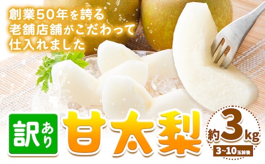 【2026年先行予約】【訳あり】甘太梨 約3kg 3-10玉前後 高間商店《2026年9月下旬-11月上旬頃出荷》 鳥取県 八頭町 梨 なし ナシ 果物 フルーツ ご家庭用 先行予約 ふるさと納税 送料無料 甘い 果実 果汁 デザート 王秋梨---yazu_tkm_93_3---