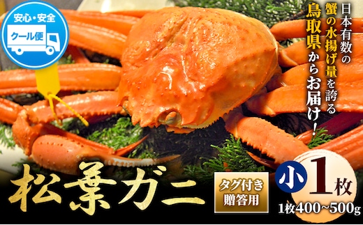 ＼12/23決済完了分まで年内配送／【配送不可地域あり】カニ 松葉ガニ タグ付き 贈答用 小サイズ(400g～500g)1枚 《2025年11月中旬-2026年3月中旬出荷予定》鳥取県 八頭町 送料無料 蟹 かに 海鮮 松葉ガニ 贈答 タグ付 冷蔵---yazu_zsy2_46_1s---