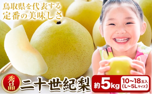 【秀品(赤秀)】先行予約 二十世紀梨 約5kg (10~18玉) 《2026年8月下旬-9月下旬頃出荷》鳥取県 八頭町 梨 なし 果物 フルーツ 特産品 秀品 赤秀 贈答用 先行予約 送料無料 果汁 デザート---yazu_zsy_66_5n---