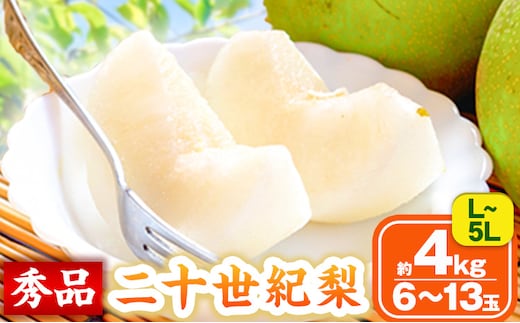 【2026年先行予約】なし 梨 秀品 二十世紀梨 約4kg 高間商店《2026年8月下旬-10月上旬頃出荷》鳥取県 八頭町 果物 フルーツ 和梨---yazu_tkm_95_4---