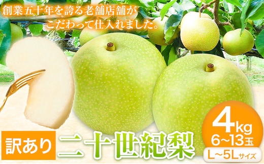 【2026年先行予約】【訳あり】二十世紀梨 約4kg (6~13玉) L~5Lサイズ 《2026年8月下旬-10月上旬頃出荷》高間商店 鳥取県 八頭町 梨 なし ナシ 果物 フルーツ ご家庭用 先行予約 ふるさと納税 送料無料 甘い 果実 果汁 デザート---yazu_tkm_97_4---