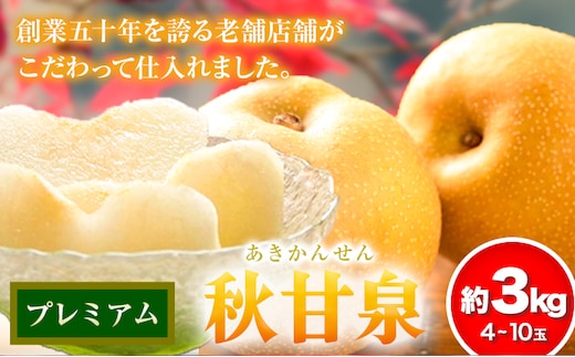 【2026年先行予約】プレミアム 秋甘泉 約3kg (4~10玉) 高間商店《2026年8月下旬-10月上旬頃出荷》鳥取県 八頭町 梨 なし ナシ 果物 フルーツ プレミアム 果汁 ふるさと納税 秋甘泉梨 果実 甘い 高間商店 オリジナル品種---yazu_tkm_104_3---
