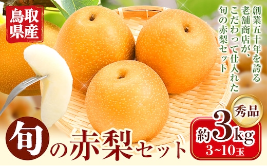 【2026年先行予約】なし 梨 旬の赤梨セット 約3kg (3~10玉) 《2026年8月下旬-2027年1月上旬頃出荷》 鳥取県 八頭町 果物 フルーツ 秀品 厳選 ふるさと納税 高間商店 幸水 豊水 秋栄梨 秋甘泉 新甘泉 新高梨 あたご梨 王秋梨 先行予約---yazu_tkm_116_3---