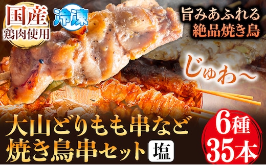 大山どりもも串など人気焼き鳥串35本セット（塩）6種 株式会社ダブルノット《90日以内に発送予定(土日祝除く)》鳥取県 八頭町 もも串 ねぎま つくね串 かわ串 やげんなんこつ串 レバー 国産---yazu_dnt_10_35---