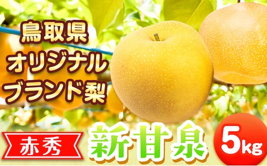新甘泉 赤秀 約5kg JA鳥取いなば 先行予約《8月下旬‐9月上旬頃出荷》鳥取県 八頭町 梨 なし 果物 しんかんせん フルーツ ふるさと納税 送料無料 果実 果汁 常温便---yazu_jti_40_5kg---