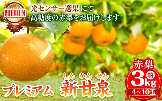 【2026年先行予約】プレミアム 新甘泉 約3kg (4~10玉) 高間商店《2026年8月下旬-10月上旬頃出荷予定》 鳥取県 八頭町 梨 なし ナシ 果物 フルーツ 厳選 先行予約 デザート 新甘泉梨 赤梨---yazu_tkm_101_3---