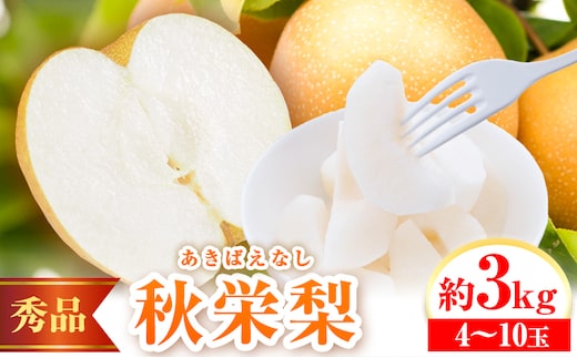【2026年先行予約】秀品 秋栄梨 約3kg (4~10玉) 《2026年8月中旬-9月上旬頃出荷》高間商店 鳥取県 八頭町 梨 なし ナシ 果物 フルーツ 先行予約 ふるさと納税 送料無料 甘い 果実 果汁 デザート---yazu_tkm_107_3---