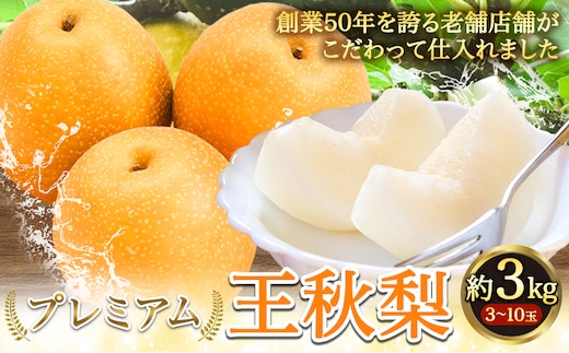 【2026年先行予約】プレミアム 王秋梨 約3kg (3~10玉) 高間商店《2026年10月下旬-2027年1月中旬頃出荷》鳥取県 八頭町 梨なし ナシ 果物 フルーツ 厳選 先行予約 ふるさと納税 返礼品 国産 高間商店 甘い 王秋梨 高糖度---yazu_tkm_108_3---