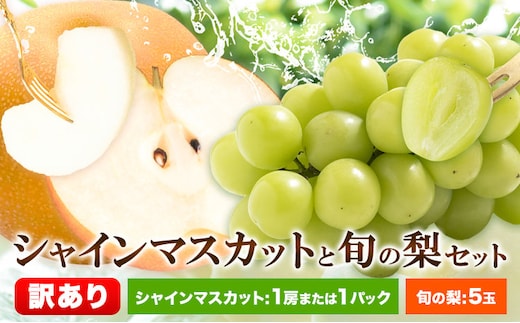 【2026年先行予約】訳ありシャインマスカットセットと旬の梨 高間商店《2026年8月下旬-10月中旬頃出荷》 鳥取県 八頭町 果物 くだもの フルーツ マスカット ナシ なし ぶどう ブドウ---yazu_tkm_155_sn---
