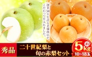 【2026年先行予約】秀品 二十世紀梨と旬の赤梨セット 約5kg (10~18玉) 《2026年8月下旬-10月上旬頃出荷》 高間商店 鳥取県 八頭町 梨 なし ナシ 果物 フルーツ ギフト 先行予約 ふるさと納税 送料無料 甘い 果実 果汁 デザート---yazu_tkm_100_5---