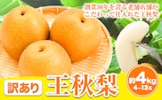 【2026年先行予約】【訳あり】王秋梨 約4kg (4~13玉) 高間商店《2026年10月下旬-2027年1月中旬頃出荷》 鳥取県 八頭町 梨 なし ナシ 果物 フルーツ ご家庭用 先行予約 ふるさと納税 送料無料 甘い 果実 果汁 デザート 王秋梨---yazu_tkm_111_4---