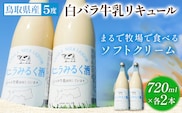 鳥取県産白バラ牛乳リキュール2本セット 720ml×2本 株式会社北岡本店《90日以内に出荷予定(土日祝除く)》鳥取県 八頭町 白バラ牛乳 リキュール バニラみるく酒 酒 送料無料---yazu_koh_10_2s---