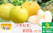 【2026年先行予約】なし 梨 秀品 二十世紀梨と新甘泉梨のセット 約3kg(4～10玉入) 高間商店《2026年8月下旬-10月上旬頃出荷》鳥取県 八頭町 青果物 フルーツ 梨 和梨---yazu_tkm_98_3---
