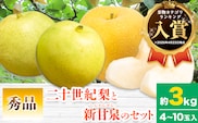 【2026年先行予約】なし 梨 秀品 二十世紀梨と新甘泉梨のセット 約3kg(4～10玉入) 高間商店《2026年8月下旬-10月上旬頃出荷》鳥取県 八頭町 青果物 フルーツ 梨 和梨---yazu_tkm_98_3---