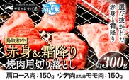鳥取和牛 赤身＆霜降り焼肉用切り落とし 300g 株式会社 やまのおかげ屋《90日以内に出荷予定(土日祝除く)》鳥取県 八頭町 和牛 牛肉 牛 やきにく 送料無料---yazu_yoy_54_150g---