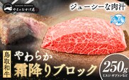 鳥取和牛 やわらか霜降りブロック 250g やまのおかげ屋《90日以内に出荷予定(土日祝除く)》鳥取県 八頭町 和牛 ブロック肉 ステーキ 送料無料 牛肉 肉 牛---yazu_yoy_66_b---