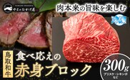鳥取和牛 食べ応えの赤身ブロック 300g やまのおかげ屋《90日以内に出荷予定(土日祝除く)》鳥取県 八頭町 和牛 ブロック肉 ステーキ 送料無料 牛肉 肉 牛---yazu_yoy_64_b---