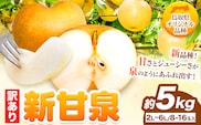 【訳あり】先行予約 新甘泉 約5kg (9~20玉) 《2026年8月下旬-9月下旬頃出荷》新甘泉 梨 訳あり ご家庭用 鳥取県 八頭町 なし 果物 フルーツ 特産品 送料無料 果汁 デザート 八頭 梨 梨 梨 梨 梨 梨 梨 新甘梨 訳あり 新甘梨 新甘梨 新甘梨 新甘梨 新甘梨 新甘梨 新甘梨---yazu_zsy_75_5kg---