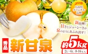 【秀品(赤秀)】先行予約 新甘泉 約5kg (9~20玉) 《2026年8月下旬-9月下旬頃出荷》鳥取県 八頭町 梨 なし 果物 フルーツ 特産品 秀品 赤秀 贈答用 先行予約 送料無料 果汁 デザート---yazu_zsy_257_5kg---