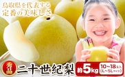 【秀品(赤秀)】先行予約 二十世紀梨 約5kg (10~18玉) 《2026年8月下旬-9月下旬頃出荷》鳥取県 八頭町 梨 なし 果物 フルーツ 特産品 秀品 赤秀 贈答用 先行予約 送料無料 果汁 デザート---yazu_zsy_66_5n---