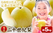 【秀品(赤秀)】先行予約 二十世紀梨 約5kg 《2026年8月下旬-9月下旬頃出荷》鳥取県 八頭町 梨 なし 果物 フルーツ 特産品 秀品 赤秀 贈答用 先行予約 送料無料 果汁 デザート---yazu_zsy_66_5n---