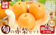 【2026年先行予約】なし 梨 旬の赤梨セット 約3kg (3~10玉) 《2026年8月下旬-2027年1月上旬頃出荷》 鳥取県 八頭町 果物 フルーツ 秀品 厳選 ふるさと納税 高間商店 幸水 豊水 秋栄梨 秋甘泉 新甘泉 新高梨 あたご梨 王秋梨 先行予約---yazu_tkm_116_3---