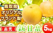 新甘泉 赤秀 約5kg  JA鳥取いなば 先行予約《8月下旬‐9月上旬頃出荷》鳥取県 八頭町 梨 なし 果物 しんかんせん フルーツ ふるさと納税 送料無料 果実 果汁 常温便---yazu_jti_40_5kg---