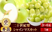 【2026年先行予約】シャインマスカット と 二十世紀梨 の セット (小) 《2026年8月下旬-10月中旬頃出荷予定》鳥取県 八頭町 梨 なし ナシ マスカット 果物 フルーツ 秀品 厳選 甘い 果汁 果実 ふるさと納税 シャインマスカット 送料無料 二十世紀梨---yazu_tkm_151_s---