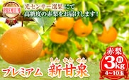 【2026年先行予約】プレミアム 新甘泉 約3kg (4~10玉) 高間商店《2026年8月下旬-10月上旬頃出荷予定》 鳥取県 八頭町 梨 なし ナシ 果物 フルーツ 厳選 先行予約 デザート 新甘泉梨 赤梨---yazu_tkm_101_3---