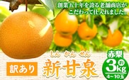 【2026年先行予約】訳あり なし 梨 新甘泉 約3kg (4~10玉) 高間商店《2026年8月下旬-10月上旬頃出荷》 鳥取県 八頭町 梨 なし ナシ 果物 フルーツ  ご家庭用 訳あり 先行予約 ふるさと納税 送料無料 甘い 果実 果汁 デザート 新甘泉梨 赤梨---yazu_tkm_103_3---