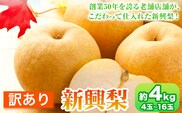 【2026年先行予約】訳あり 新興梨 約4kg (4~16玉) 高間商店《2026年10月上旬-11月下旬頃出荷》鳥取県 八頭町 梨 なし ナシ 果物 フルーツ 厳選 訳あり 送料無料 新興梨 甘い 果実 果汁 高間商店---yazu_tkm_114_4---
