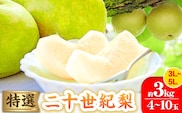 【2026年先行予約】特選 二十世紀梨 約3kg (4~10玉) 3L~5Lサイズ《2026年8月下旬-10月上旬頃出荷》高間商店 鳥取県 八頭町 梨 なし ナシ 果物 フルーツ 先行予約 ふるさと納税 送料無料 甘い 果実 果汁 デザート---yazu_tkm_94_3---