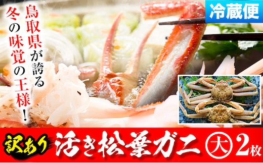 【ふるさと納税】【先行予約】【活き】訳あり 松葉ガニ 大 2枚(1枚/800～940g前後) 高間商店《11月中旬-3月下旬頃出荷》鳥取県 八頭町 送料無料 カニ 蟹 かに 訳あり 鍋 珍味 冬 グルメ ズワイガニ---yazu_tkm2_139_h2---
