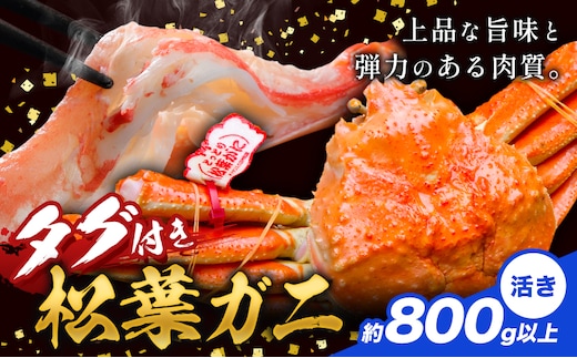 かに タグ付き 松葉ガニ 約800g 以上 活き 《11月上旬-4月中旬頃出荷》お魚センターみくりや 鳥取県 八頭町 蟹 かに カニ 鍋 松葉ガニ 送料無料---yazu_mkr_4_800---