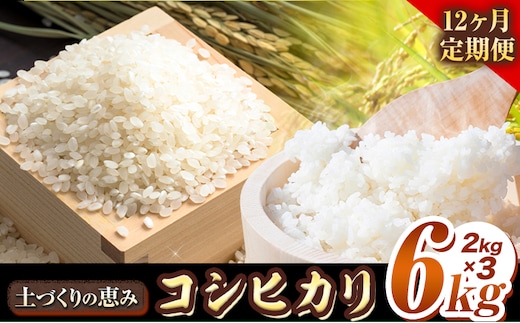 【12ヶ月定期便】“土づくりの恵み” つやっつやの特別栽培米お届け 12ヶ月コース 特別栽培米 コシヒカリ ２kg×３袋 有限会社 田中農場《ご入金を確認してから約2ヶ月後に出荷開始》鳥取県 八頭町 米 お米 ご飯 定期 定期便 送料無料---iyazu_tnj_8_tei---