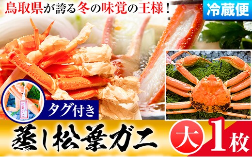 【先行予約】【蒸し】タグ付き松葉ガニ 大1枚(800～940g) 高間商店《2026年11月中旬-2027年3月下旬頃出荷》鳥取県 八頭町 送料無料 カニ 蟹 松葉ガニ タグ付き ブランド---yazu_tkm2_135_h---