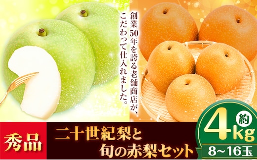【2026年先行予約】秀品 二十世紀梨と旬の赤梨セット 約4kg (8~16玉) 《2026年8月下旬-10月上旬頃出荷》 高間商店 鳥取県 八頭町 梨 なし ナシ 果物 フルーツ ギフト 先行予約 ふるさと納税 送料無料 甘い 果実 果汁 デザート---yazu_tkm_99_4---