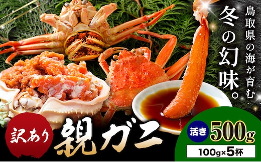 カニ 親ガニ 訳あり 500g 活き 5杯 《12月上旬-12月末頃出荷》 SOO合同会社 鳥取県 八頭町 送料無料 蟹 かに 姿 鍋 訳アリ---yazu_soo_169_100g---