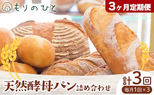 【3ヶ月定期便】もりのひと 天然酵母パン 詰め合わせ 選べる 定期便 回数 3回 もりのひと《お申込み月の翌月から発送》 鳥取県 八頭町 パン 食パン カンパーニュ ライ麦 全粒粉 くるみとレーズン 送料無料---yazu_mrh_1_1set_tei---