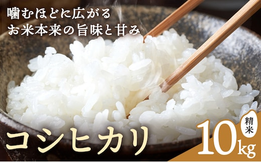 鳥取県産 コシヒカリ 令和7年度産 精米済 10kg さんチョク《30日以内に出荷予定(土日祝除く)》鳥取県 八頭町 米 お米 白米 ご飯---yazu_snt10_182_10kg---
