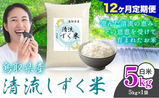 【12ヶ月定期便】鳥取 ふるさと 白米 5kg 清流しずく米《お申し込み月の翌月から出荷開始》鳥取県 八頭町 米 お米 ご飯 八頭 ふるさと無洗米 生活応援 ブレンド米 複数原料米 訳あり 小分け kome ご飯---yazu_zsy_474_5kg_h---