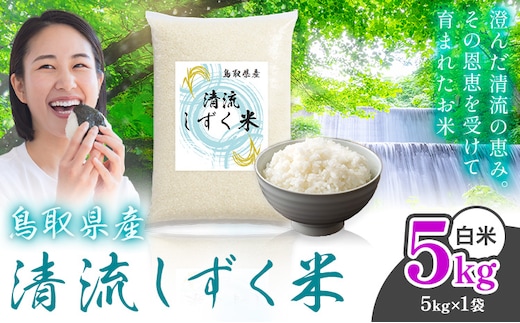 鳥取 ふるさと 白米 5kg 清流しずく米《1月上旬-2月末頃出荷》鳥取県 八頭町 米 お米 ご飯 八頭 ふるさと無洗米 生活応援 ブレンド米 複数原料米 訳あり 小分け kome ご飯---yazu_zsy_456_5kg_h---