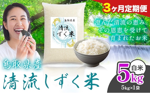 【3ヶ月定期便】鳥取 ふるさと 白米 5kg 清流しずく米《お申し込み月の翌月から出荷開始》鳥取県 八頭町 米 お米 ご飯 八頭 ふるさと無洗米 生活応援 ブレンド米 複数原料米 訳あり 小分け kome ご飯---yazu_zsy_468_5kg_h---