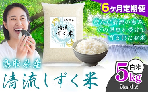 【6ヶ月定期便】鳥取 ふるさと 白米 5kg 清流しずく米《お申し込み月の翌月から出荷開始》鳥取県 八頭町 米 お米 ご飯 八頭 ふるさと無洗米 生活応援 ブレンド米 複数原料米 訳あり 小分け kome ご飯---yazu_zsy_471_5kg_h---