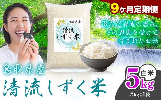【9ヶ月定期便】鳥取 ふるさと 白米 5kg 清流しずく米《お申し込み月の翌月から出荷開始》鳥取県 八頭町 米 お米 ご飯 八頭 ふるさと無洗米 生活応援 ブレンド米 複数原料米 訳あり 小分け kome ご飯---yazu_zsy_290_5kg_h_tei---
