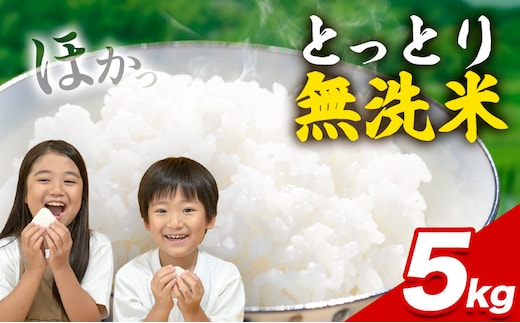 とっとり無洗米 5kg《2025年11月中旬-12月末頃出荷》鳥取県 八頭町 米 お米 白米 ご飯 八頭 ふるさと無洗米---yazu_zsy_91_5kg---