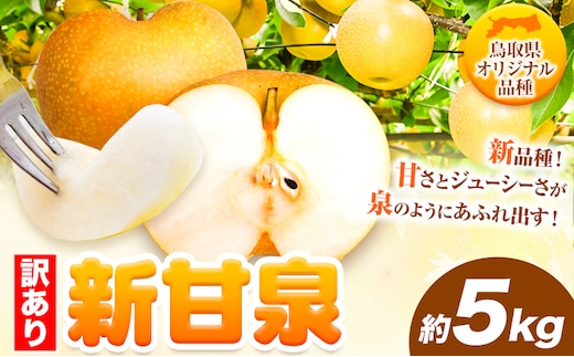 【訳あり】先行予約 新甘泉 約5kg 《2026年8月下旬-9月下旬頃出荷》新甘泉 梨 訳あり ご家庭用 鳥取県 八頭町 なし 果物 フルーツ 特産品 送料無料 果汁 デザート 八頭 梨 梨 梨 梨 梨 梨 梨 新甘梨 訳あり 新甘梨 新甘梨 新甘梨 新甘梨 新甘梨 新甘梨 新甘梨---yazu_zsy_75_5kg---