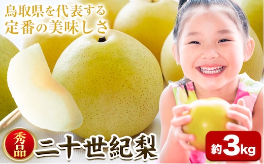 先行予約【秀品(赤秀)】 二十世紀梨 約3kg 《8月下旬-9月下旬頃出荷》鳥取県 八頭町 梨 なし 果物 フルーツ 特産品 秀品 赤秀 贈答用 先行予約 送料無料 果汁 デザート---yazu_zsy_64_3n---