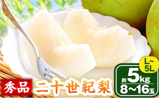 【2026年先行予約】梨 なし 二十世紀梨(秀) 約5kg《2026年8月下旬-10月上旬頃出荷》鳥取県 八頭町 フルーツ 秀品 果物 くだもの 5kg 送料無料---yazu_tkm_96_5---
